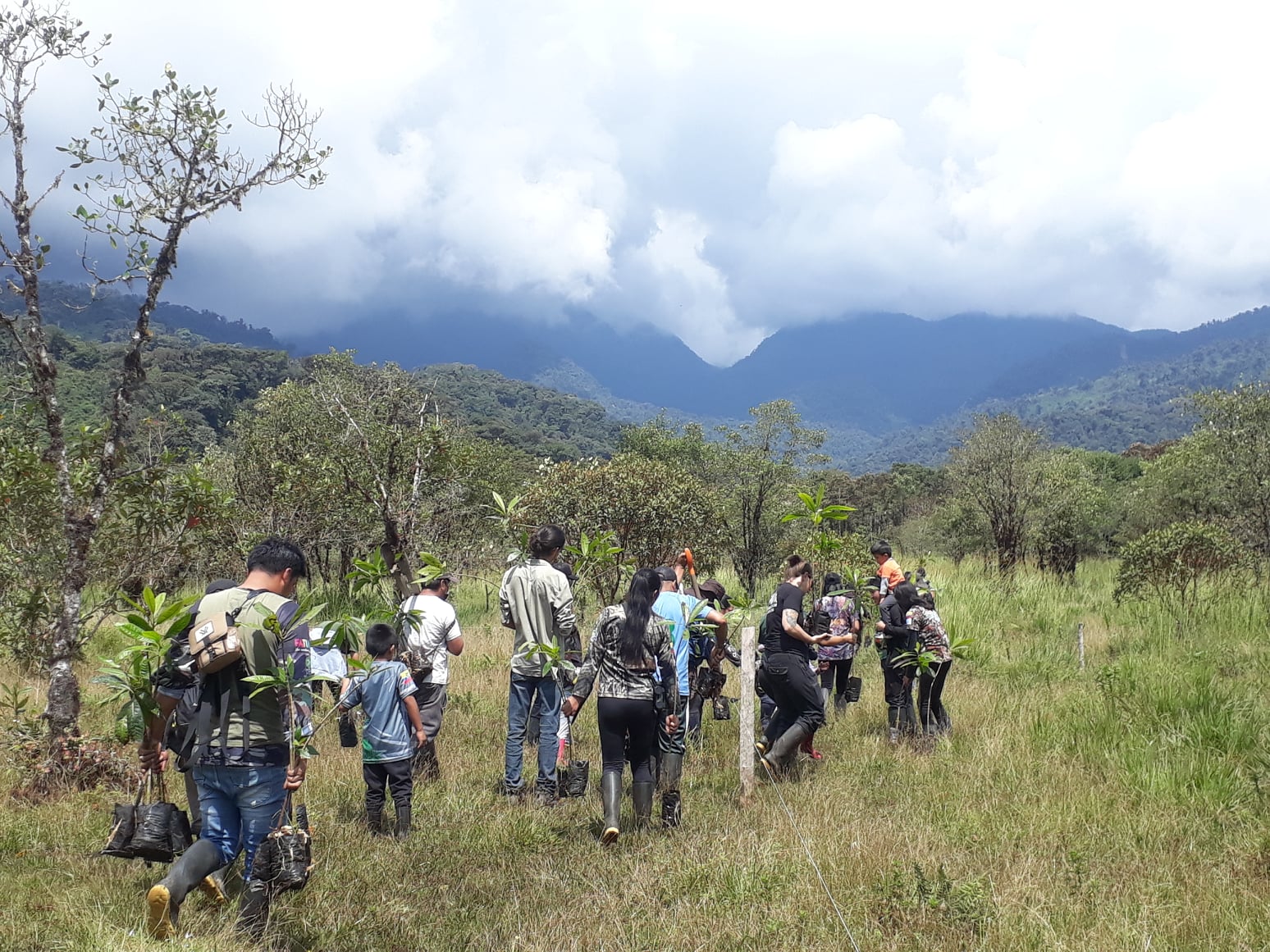 The Quijos Valley tree planting crew in action